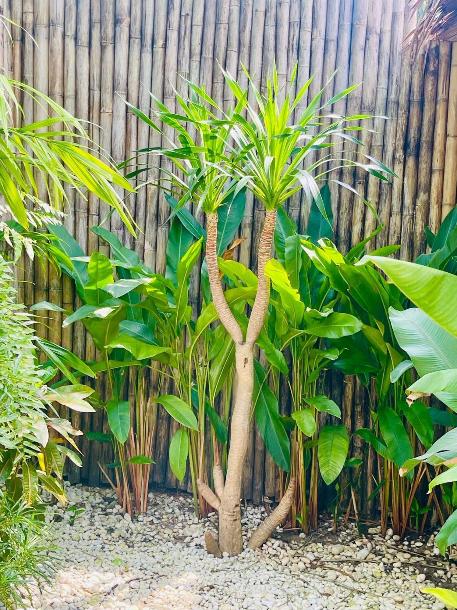 Villa Surya Ko Pha Ngan